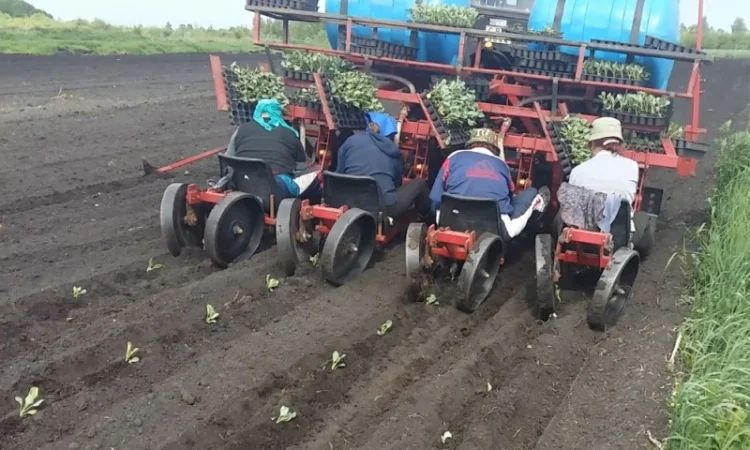 Машина рассадо-посадочная универсальная МРП (для помидоров, капусты, перца, огурцов) - фото № 1