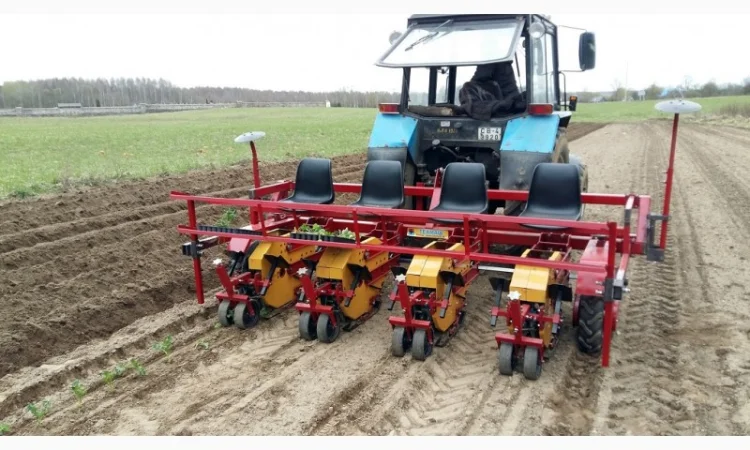 Машина рассадо-посадочная МРП под пленку (для помидоров, капусты, перца, огурцов) - фото № 1