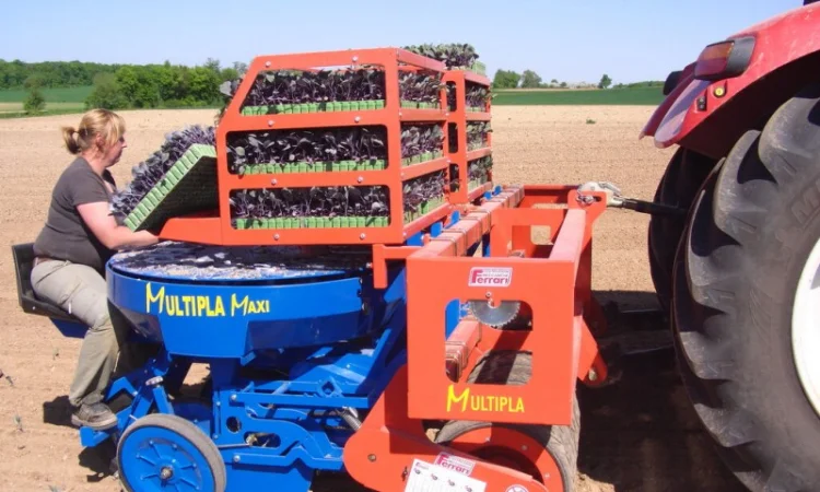 Рассадопосадочная машина FERRARI F max - Checchi & Magli, Super Prefer, Spapperi - фото № 9