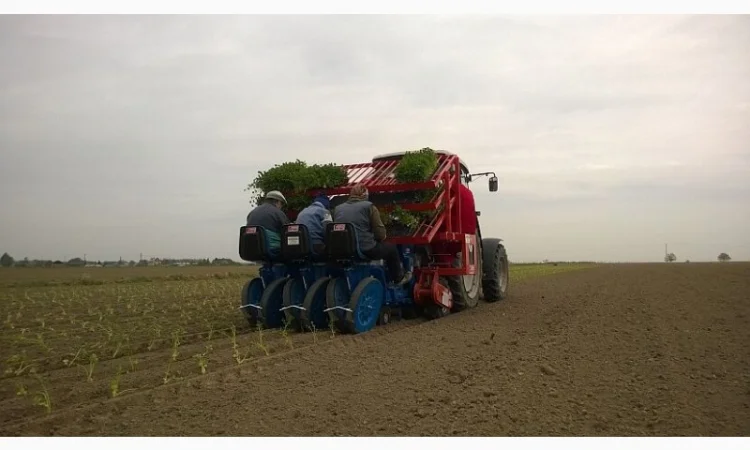Рассадопосадочная машина FERRARI F max - Checchi & Magli, Super Prefer, Spapperi - фото № 3