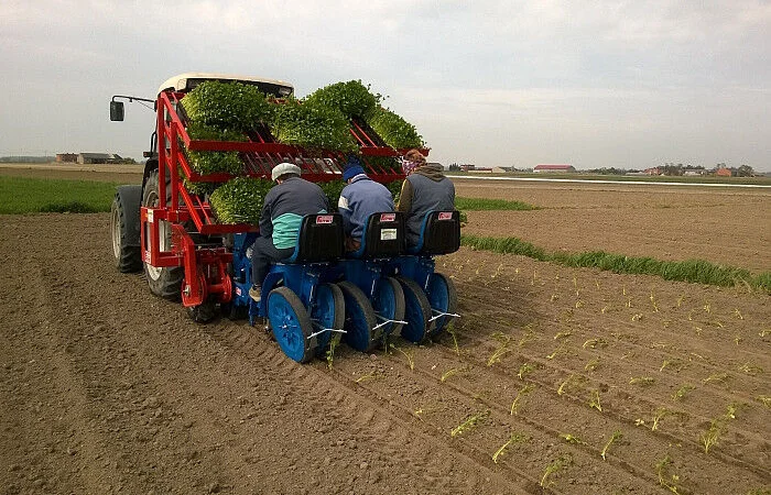 Рассадопосадочная машина FERRARI F max - Checchi & Magli, Super Prefer, Spapperi - фото № 4