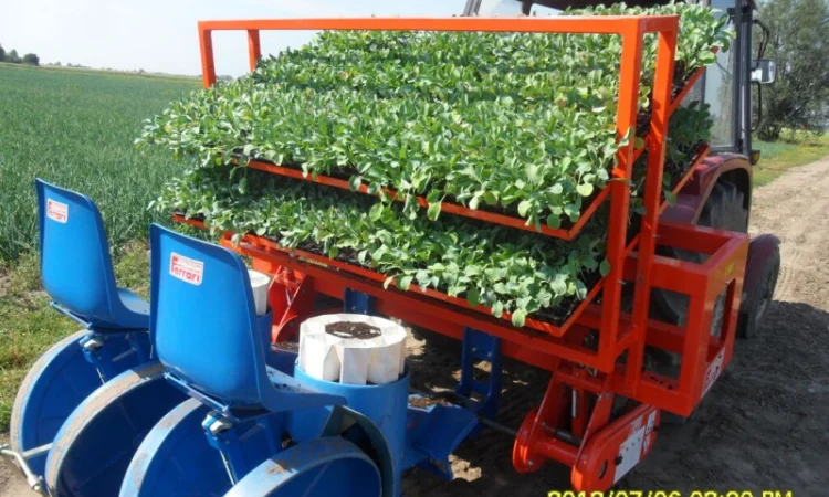 Рассадопосадочная машина FERRARI F max - Checchi & Magli, Super Prefer, Spapperi - фото № 8