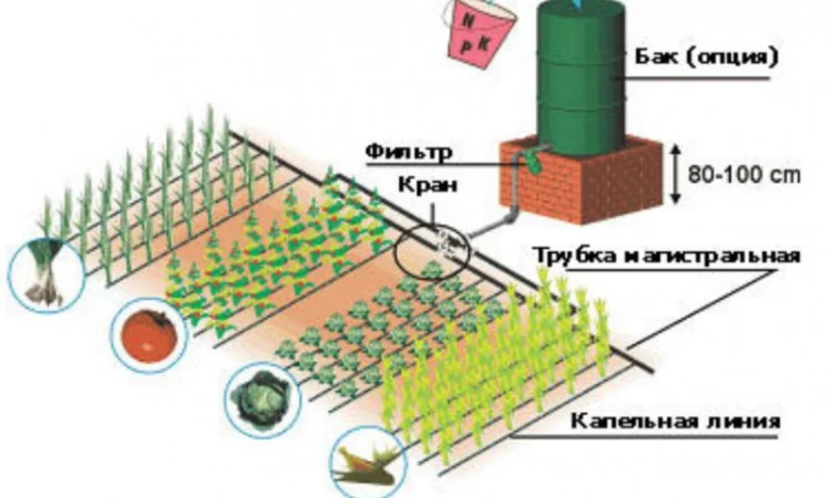 Капельный набор для полива, капельная лента, капельный полив - фото № 1
