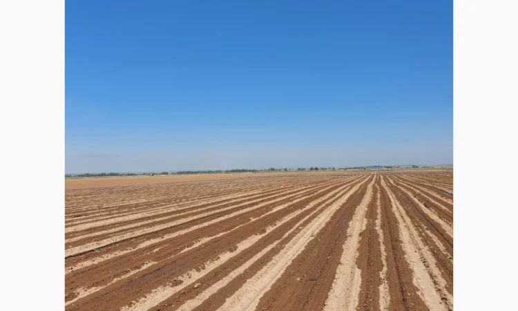 Крапельна стрічка власне виробництво - фото № 4