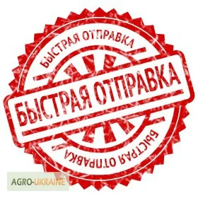 Опрыскиватель бензиновый Sadko (Садко) GSP-3325. ОРИГИНАЛ. 25 л. Доставка - фото № 11