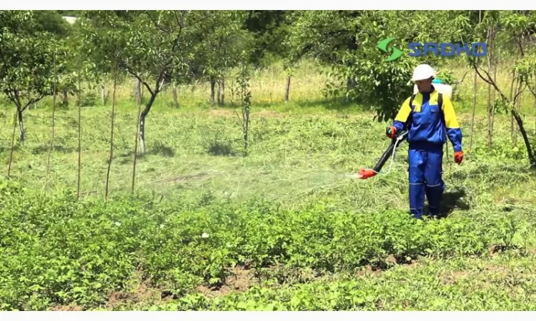 Опрыскиватель бензиновый Sadko (Садко) GMD-6014. Нагнетательный насос! Электростатика - фото № 5