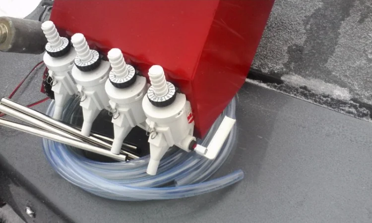 Морковь без вредителей - фото № 2