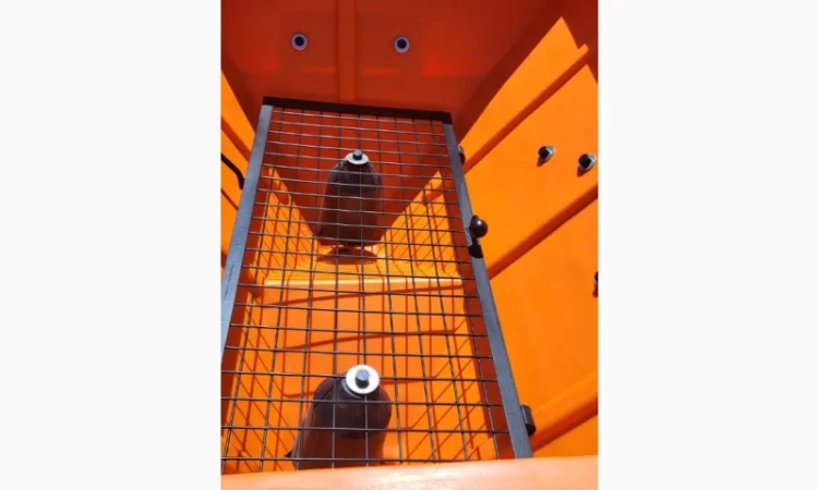 Новий навісний розкидач добрив DEXWAL TORNADO DUO 850/1200 - фото № 7