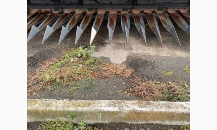 Жатка соняшникова Capello 9400 Zafrani капелло зафрані жнс-9, 4 - фото № 4