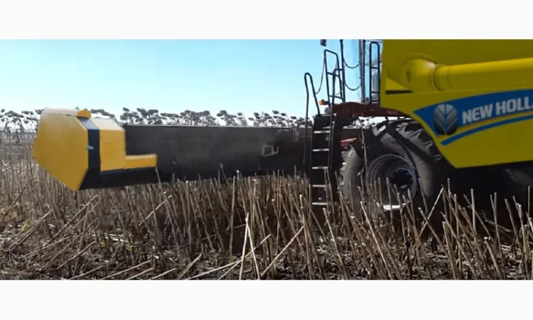 Жатка для уборки подсолнечника для Палессе - фото № 2