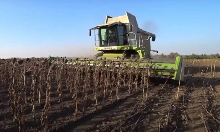 Жатка соняшникова ЖСН-6-7, 4-9 - фото № 2