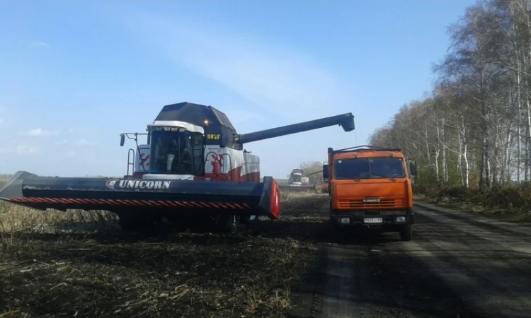 Безрядковая скоростная жатка для уборки подсолнечника ЖС от4м до 12м, цена, купить - фото № 1