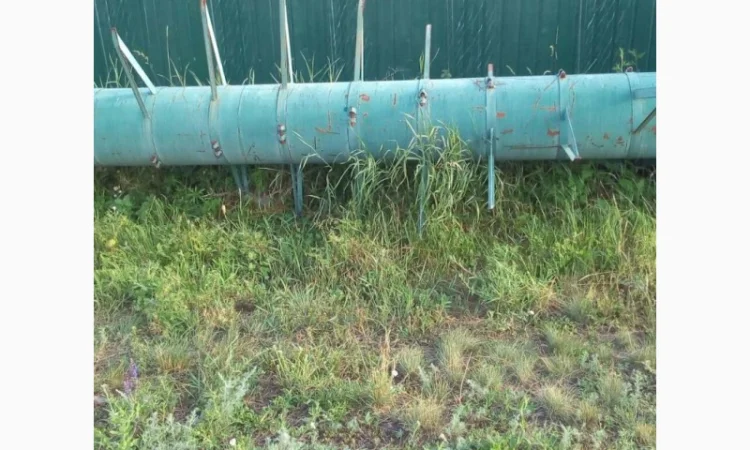 Продам пристосування збирання соняшника (ліфтера) на Massey Ferguson - фото № 2