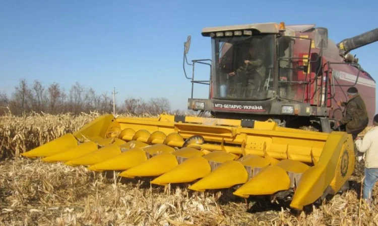 Жатка для уборки кукурузы ЖК-80 (JOHN GREAVES), жатка для уборки кукурузы - фото № 2