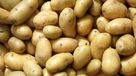 Машина для уборки кртофеля (картофелесборщик) - фото № 2