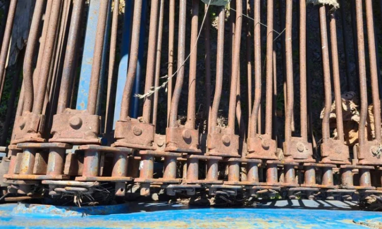 Двухрядный картофелекопатель Z-609 фирмы Agromet (Польша) - фото № 5