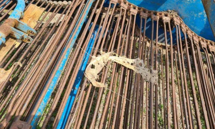 Двухрядный картофелекопатель Z-609 фирмы Agromet (Польша) - фото № 8