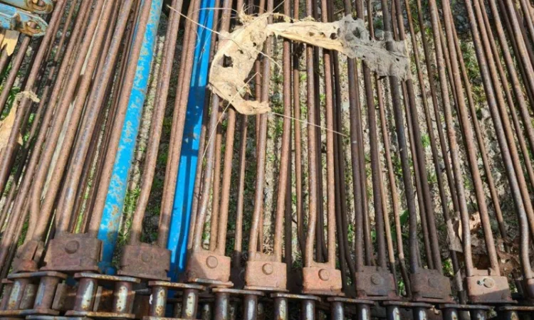 Двухрядный картофелекопатель Z-609 фирмы Agromet (Польша) - фото № 9