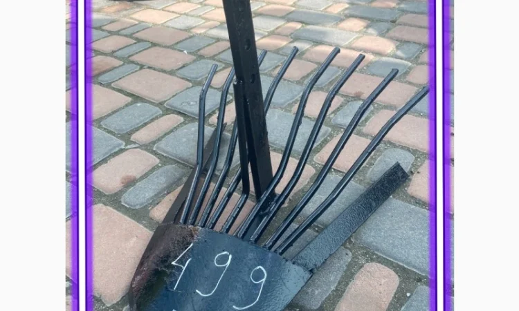 Продам картоплекопалку лапа Делфін - фото № 1