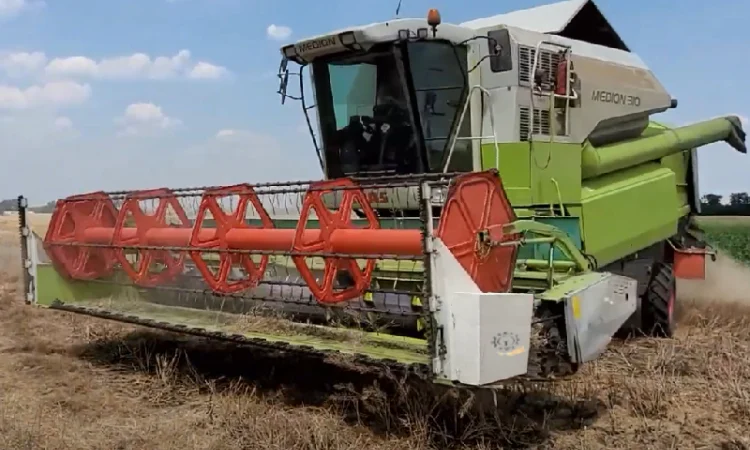 Ріпаковий стіл - фото № 1