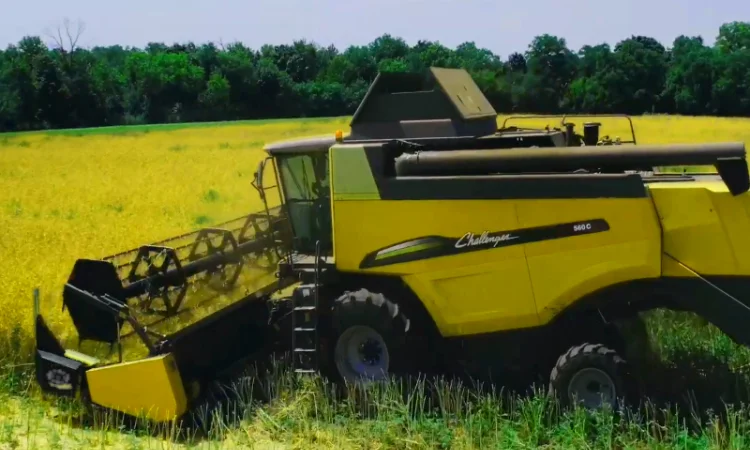 Ріпаковий стіл - фото № 2