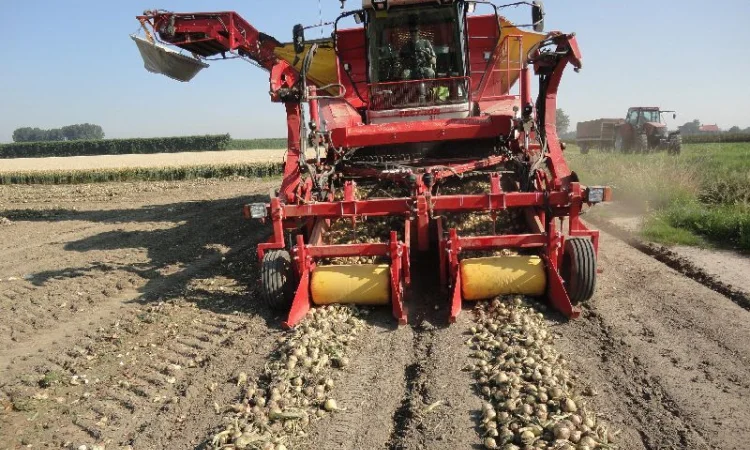 MacLouis Приставка для уборки лука цибулі Grimme, Amac - фото № 1