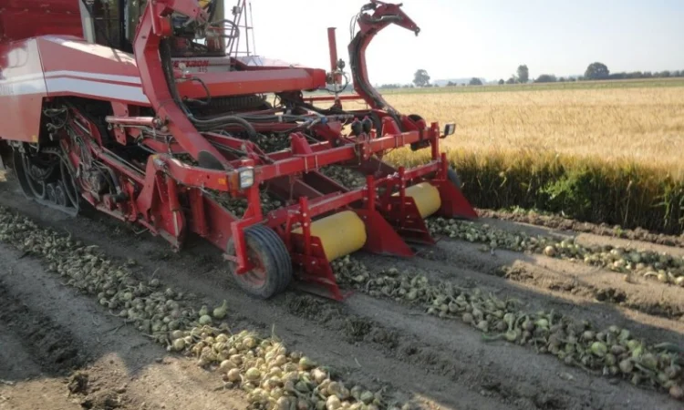 MacLouis Приставка для уборки лука цибулі Grimme, Amac - фото № 9