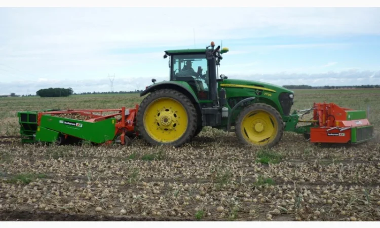 Holaras UR i UM - копалка для цибулі Asa-Lift, Amac, Samon, Imac, Sator - фото № 3