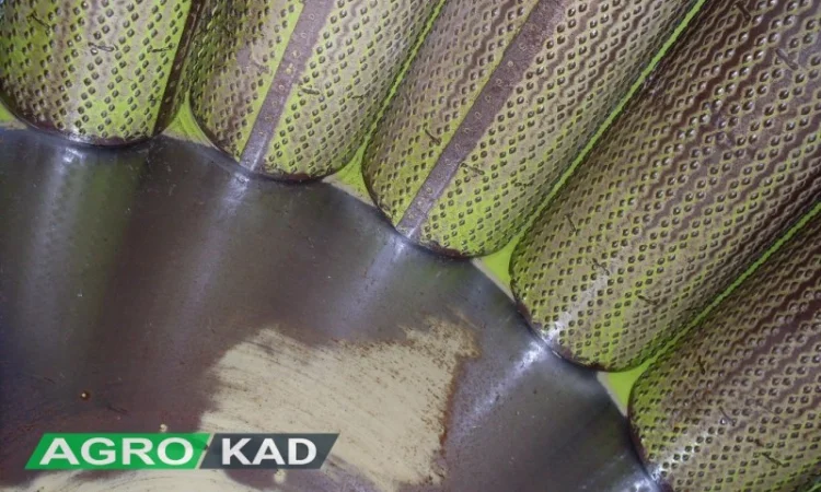 Пресс CLAAS Rollant 66 - фото № 13