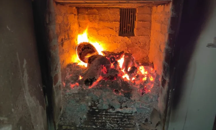 Брикет из отходов Брикет из стеблей кукурузы брикет из соломи - фото № 4