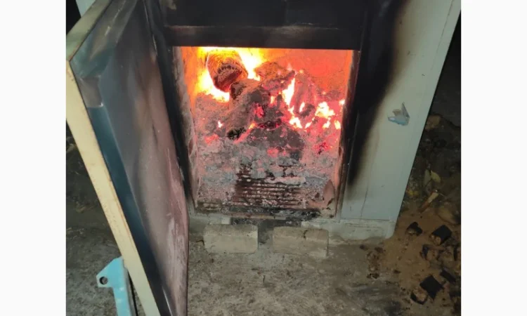 Брикет из отходов Брикет из стеблей кукурузы брикет из соломи - фото № 5