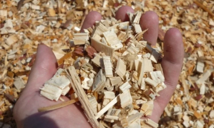 Измельчители деревоотходов (щепорезы) LS(Чехия) - фото № 9