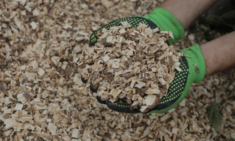 Измельчители деревоотходов (щепорезы) LS(Чехия) - фото № 4