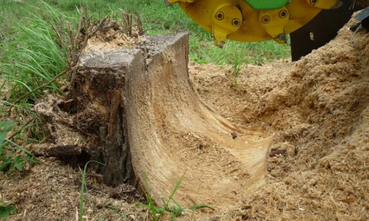 Измельчители пней LS(Чехия) - фото № 7