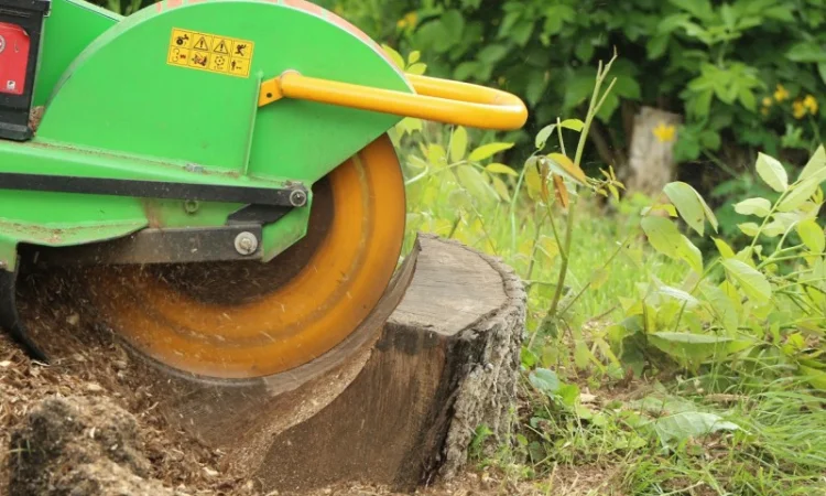 Измельчители пней LS(Чехия) - фото № 5