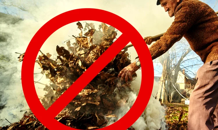 Садовый измельчитель мульчирователь Садок 2, 2 кВт - фото № 7