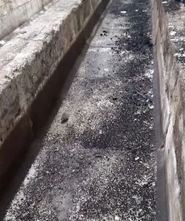 Здаю в оренду ферми, склади (8.тис.кв.м.) - фото № 2