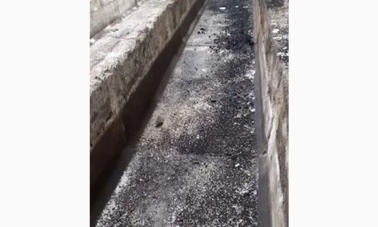 Здам в оренду с/г споруди - ферми, склади - фото № 2