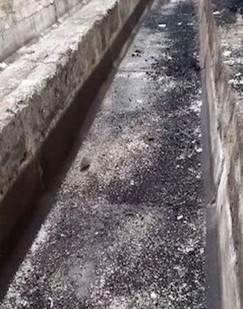 Фермы, склады под производство или хранение с/х продукции - фото № 2