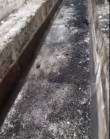 Ферми, склади в оренду 8000 м.кв - фото № 2