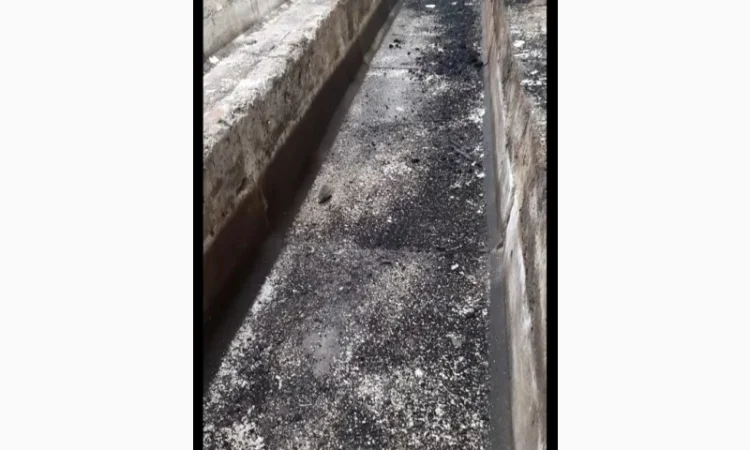 Здам в оренду ферми, склади с. Покровське, Решетилівський р-н - фото № 1