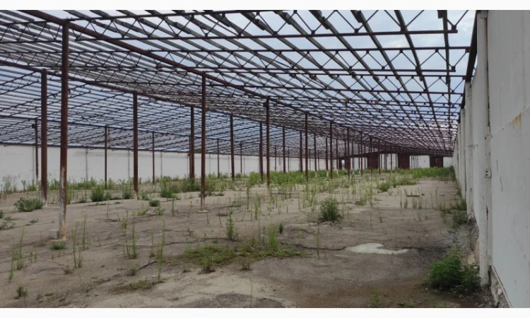 Ангар тип армянка 44м на 120м площею 5760м.кв.(без місця) - фото № 1