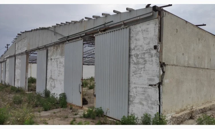 Ангар тип армянка 44м на 120м площею 5760м.кв.(без місця) - фото № 6