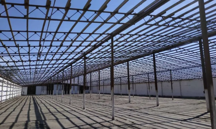 Ангар тип армянка 44м на 120м площею 5760м.кв.(без місця) - фото № 5