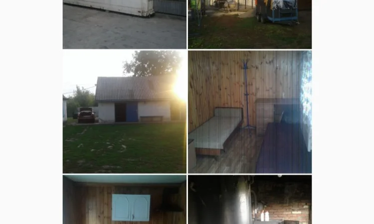 Здаю в оренду приміщення по вирощуванню шампіньйону - фото № 6