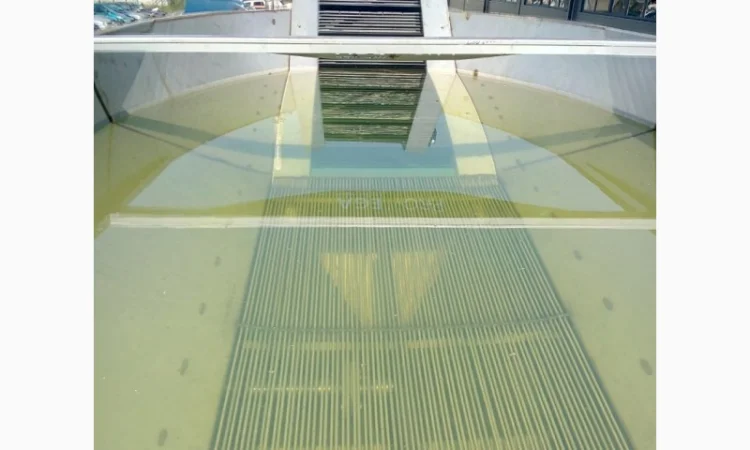 Бункер замачивания (барботажная мойка) моркови ZSW - фото № 3