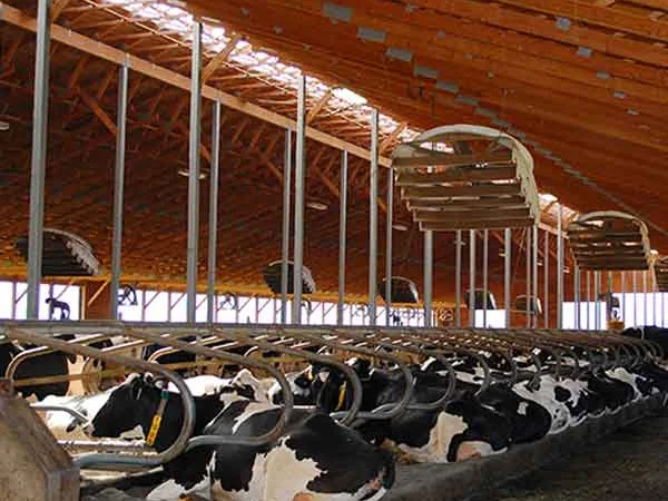 Вентиляційне обладнання для корівника - фото № 1