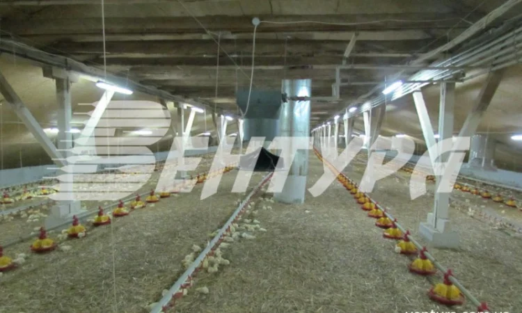 Обладнання для птахофабрик та вентиляція для птахокомплексів - фото № 4