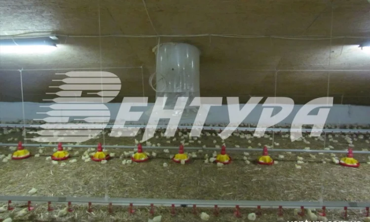 Обладнання для птахофабрик та вентиляція для птахокомплексів - фото № 5