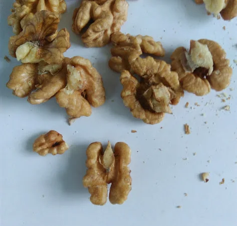 Влагомер зерна, грецкого ореха ВСП-99 - фото № 4